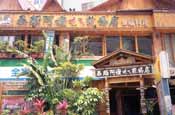 Taichung Thai Restaurants, Taiwan - Grandma's Thai Restaurant