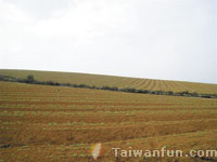 Red soil on Ma Lin Ku (Cave) 