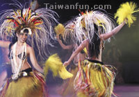 2009 Taichung International Performing Arts Festival
