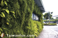 A Green Miracle in Urban Development