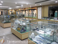 Treasure hunting at the Sinon Bulls Baseball Artifacts Exhibition Hall