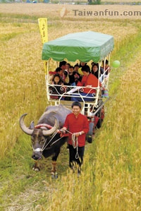 A look at Taichung's mountains, coastal areas, outlying districts and developing villages and towns