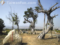 Nanliao Zhukeng Old Path