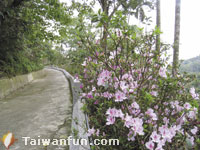 Xin Tian Hiking Trail