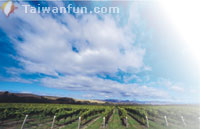 �L�ѴN�n�ܯæ����� ��Ĭ����