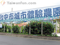 Urban farming: Taichung city residents return to the soil
