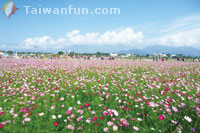 101�~�s�������зs���gFUN�n�A��