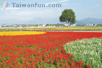 101�~�s�������зs���gFUN�n�A��