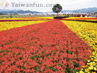 2013 Xinshe Flower Festival