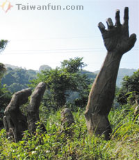 Check out a buried giant and a bird's nest fern forest by Big Snow Mountain