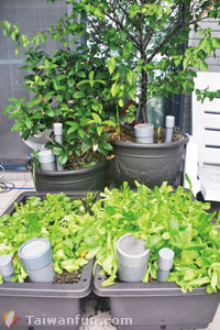 �ʤ�s�@�Ƥ��֮��