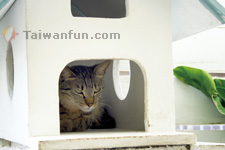 �w�絛���������G�x�����d���V�ӶV�͵�