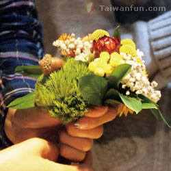 Trivium Botanics