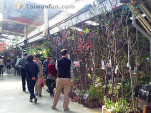 Guoguang Flower Market
